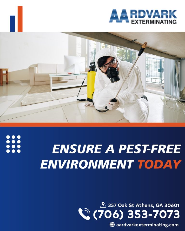 social media post example