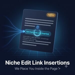 Niche Edit Link Insertions